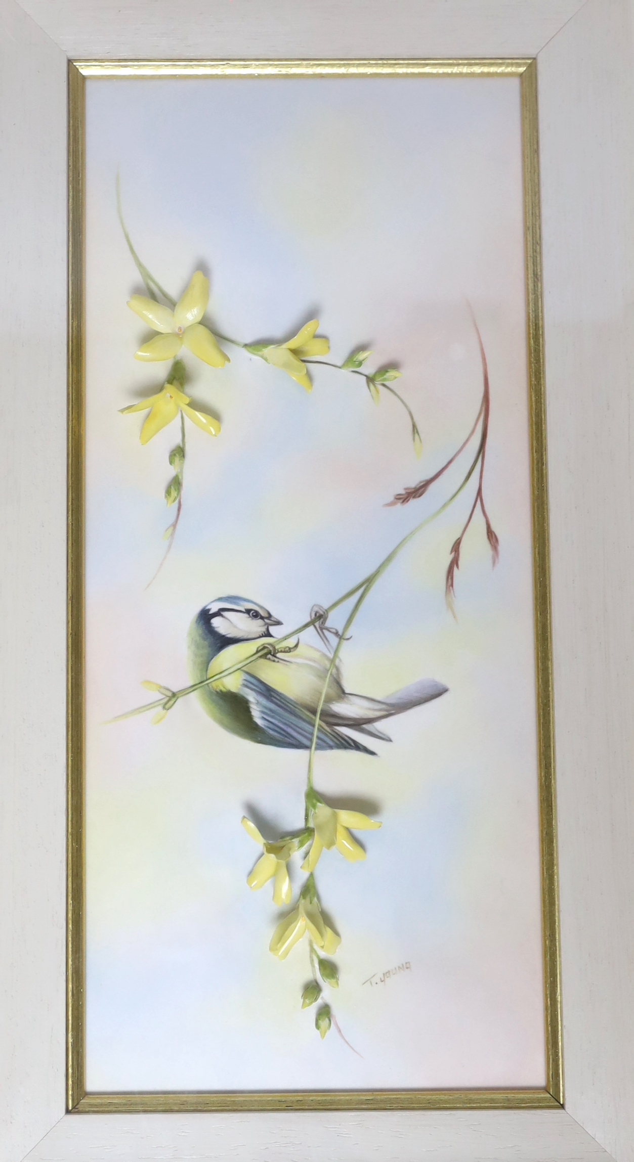 Bronté. A pair of framed porcelain plaques 'Wren' and 'Blue Tit' by Tony Young, limited edition 26/50 & 5/50, each overall 40cm x 22cm